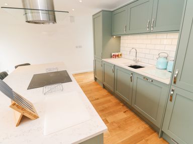 A kitchen with green cabinets a white countertop an induction cooktop a knife block a sink and blue kettle and toaster at James Place in Falmouth