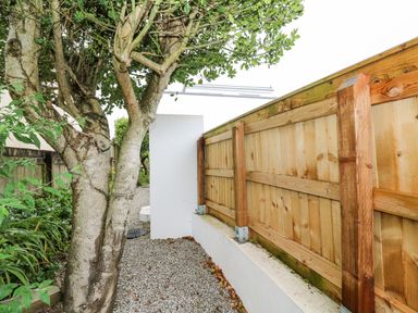 A garden path with a tree on the left and a wooden fence on the right at James Place in Falmouth