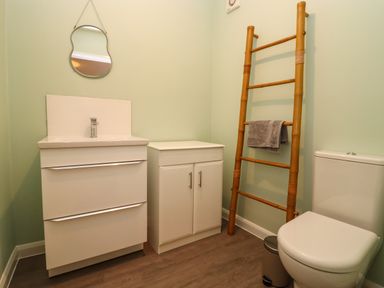 A bathroom with a toilet a white vanity unit a cabinet a wooden towel ladder and a small mirror at Harran Annex in Peopleton