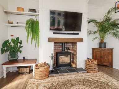 A room with a wall-mounted television above a fireplace with wood stove and plants on a table and cabinet in Penang St Austell