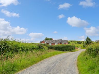 A gravel driveway leading to a house surrounded by green bushes and fields at Ashdale in Bwlch-y-sarnau near Rhayader