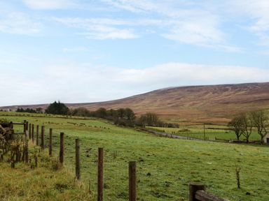 A rural landscape with green fields trees and a winding road at The Croft in Newtown-Crommelin near Cloughmills