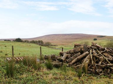 A pile of logs next to a wire fence in a green field with hills in the background at The Croft in Newtown-Crommelin near Cloughmills