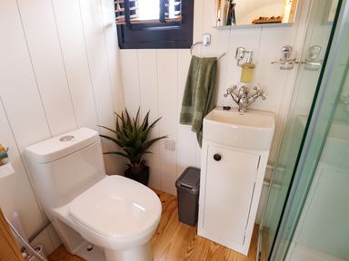 A small bathroom with a toilet a plant a sink with a cabinet a green towel and a window with blinds at Herdwick Luxury Glamping in Nottingham