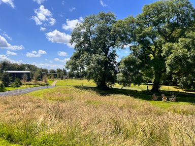 A grassy field with tall grass and large trees with wooden chairs arranged under the trees at Southdown Luxury Glamping in Nottingham