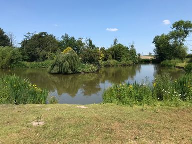 A pond surrounded by trees and plants with a grassy area in the foreground at Southdown Luxury Glamping in Nottingham
