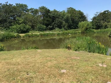 A pond surrounded by grass and trees with plants growing near the water at Southdown Luxury Glamping in Nottingham