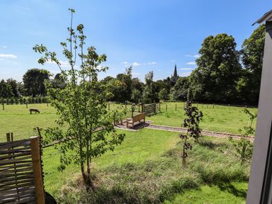 A fenced grassy field with a wooden bench a tree and a cow grazing with a church spire in the background at Southdown Luxury Glamping in Nottingham