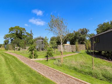 A grassy outdoor area with wood chip paths and small trees near dark-colored cabins at Southdown Luxury Glamping in Nottingham