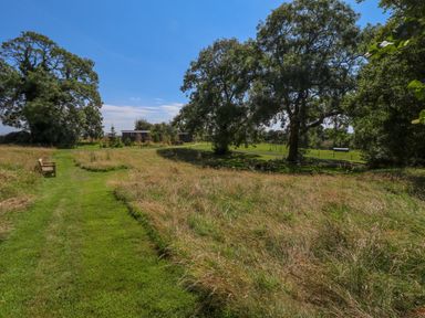 A grassy pathway with a wooden bench leading to cabins and trees in a countryside setting at Southdown Luxury Glamping in Nottingham