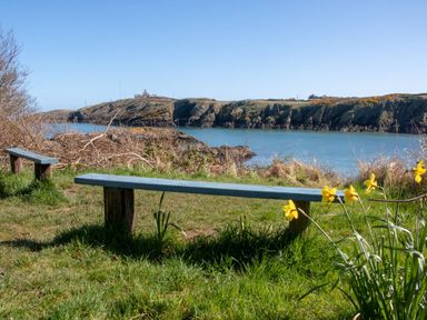 A grassy area with wooden benches and yellow flowers overlooking a body of water and rocky cliffs at West Point Lynas Lighthouse Keeper's Cottage in Llaneilian near Amlwch