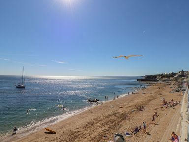A beach with people swimming and sunbathing a seagull flying and a sailboat on the water at Crab Pot Cottage in Porthleven