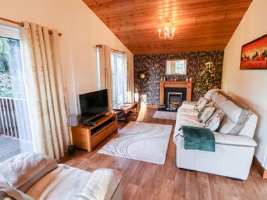 A living room with a sofa a fireplace a television and a decorated Christmas tree at Kantankye Lodge in Thorpe St Peter near Wainfleet All Saints