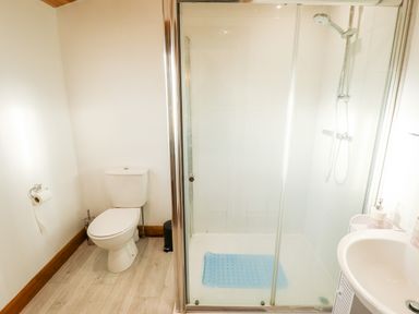 A bathroom with a toilet a shower with a glass door and a small sink at Kantankye Lodge in Thorpe St Peter near Wainfleet All Saints