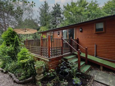 An exterior view of a wooden cabin with a deck railing steps and a ramp surrounded by trees and plants with a beige umbrella