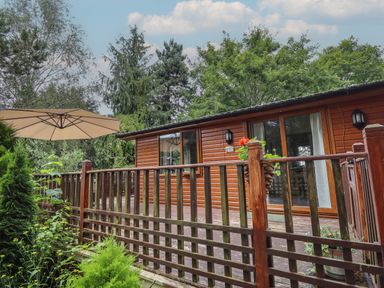 An exterior view of a wooden cabin with a patio and umbrella surrounded by trees and plants at Kantankye Lodge Thorpe St Peter near Wainfleet All Saints