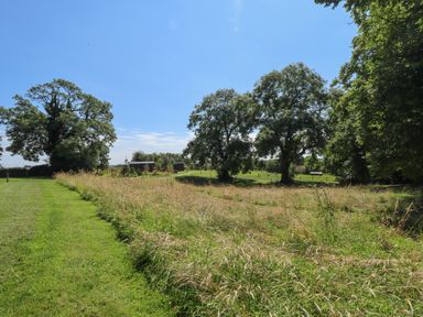 A grassy field with tall grass and large trees under a clear sky at Kantankye Lodge in Thorpe St Peter near Wainfleet All Saints