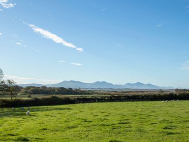 A grassy field with sheep and distant mountains under a blue sky at Iscoed in Llangefni