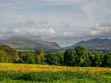 A landscape view of green and yellow fields with trees and mountains in the background at Iscoed in Llangefni