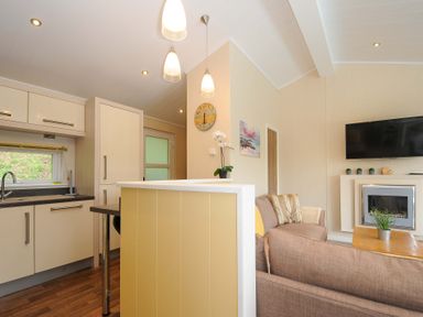 A kitchen and living room with cabinets sink sofa wall clock and wall mounted tv at Hideaway Lodge in Bossiney near Tintagel