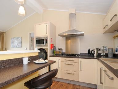 A kitchen with a stove microwave kettle toaster and a countertop with a cup and plate at Hideaway Lodge in Bossiney near Tintagel