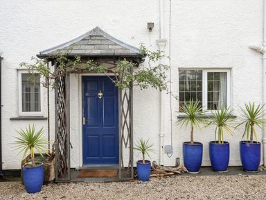 An entrance door with a small porch and five potted plants against a white wall at Bwthyn in Borth-y-Gest near Porthmadog