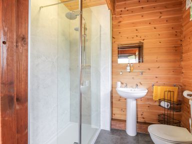 A bathroom with a glass shower enclosure a pedestal sink a mirror wooden walls and a toilet at Glenisle in Dalbeattie