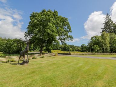 A grassy lawn with a deer statue and wooden fencing surrounded by trees at Glenisle in Dalbeattie