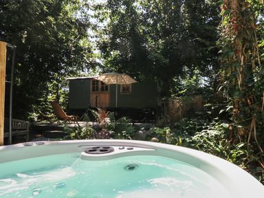 An outdoor hot tub with water in a garden surrounded by trees and foliage with a small green cabin and deck chairs under an umbrella at The Happy Hut in Sopley near Christchurch