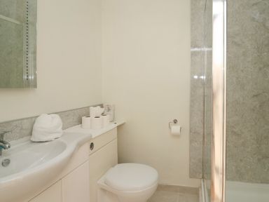 A bathroom with a sink a toilet rolls on a counter and a shower cubicle at Mynydd ar Mor in Barmouth