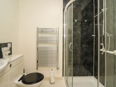 A bathroom with a toilet a shower enclosure and a wall-mounted radiator at Mynydd ar Mor in Barmouth