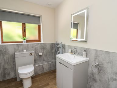 A bathroom with a toilet sink vanity mirror and a window with a blind at Awel y Bryn in Rhayader