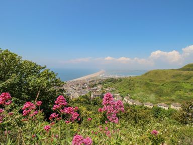 A coastal town with houses green hills pink flowers and the sea at Sunset View in Castletown Portland