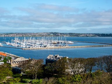 A marina with many docked sailboats and yachts with buildings and trees in the foreground at Sunset View in Castletown Portland
