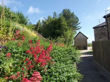 A garden with red flowers and green shrubs next to a stone and wood building at The Coach House in Bamburgh