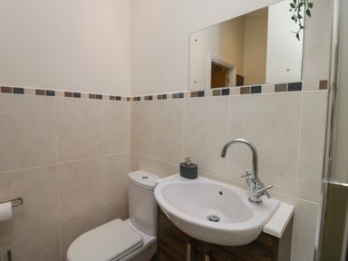 A bathroom with a toilet sink mirror and soap dispenser at Bay Tree Lodge in Cartmel