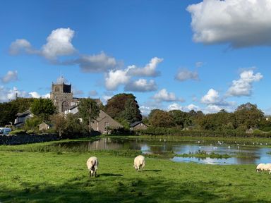 Sheep grazing on grass near a pond with birds and buildings with a church tower in the background at Bay Tree Lodge in Cartmel
