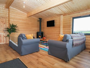 A wooden living room with two grey sofas, a wood burning stove, a wall-mounted TV, a colorful rug, and a window with a view at Foxglove Lodge in Hittisleigh