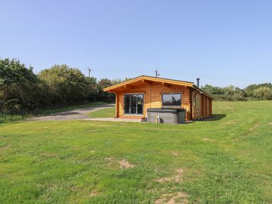 A wooden cabin with a hot tub on a grassy area surrounded by trees at Bluebell Lodge in Hittisleigh