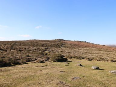 A grassy hillside with rocks and patches of shrubs under a clear blue sky at Bluebell Lodge in Hittisleigh