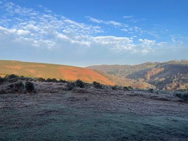 A landscape with hills covered in vegetation under a blue sky at Bluebell Lodge in Hittisleigh