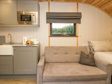 A kitchen area with grey cabinets sink microwave kettle toaster a beige couch with a pillow and a window with a grey blind at Orchard in Dalton-In-Furness