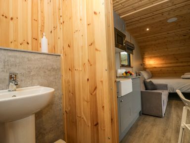 A compact living space with a sink and soap dispenser on a wooden partition next to a small kitchen area with gray cabinets a microwave and a fruit bowl a gray sofa and a bed with pillows in a room with wooden floors and walls at Orchard Dalton-In-Furness