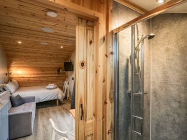 A bedroom with wooden walls a bed a sofa a mounted television and a bathroom with a shower at Orchard in Dalton-In-Furness