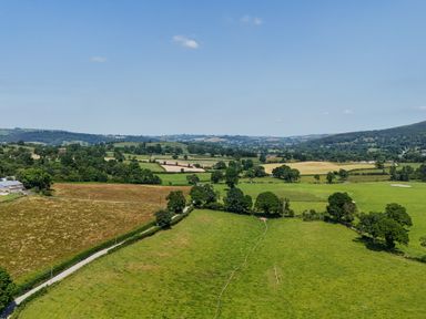 A view of fields and trees at Hay Store in Corwen