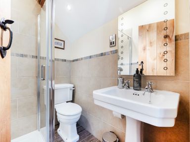 A bathroom with a shower, toilet, and sink at Hay Store in Corwen
