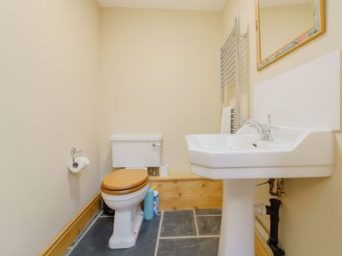 A bathroom with a toilet and sink at The Druids in Druid near Corwen