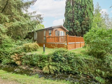 A wooden cabin with a fenced porch near a small stream surrounded by trees and bushes at Willows Lodge White Cross Bay near Windermere