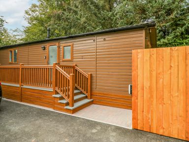 A brown wooden cabin with a railing and steps leading to a door surrounded by trees at Willows Lodge White Cross Bay near Windermere