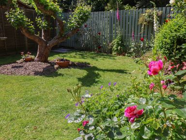 A garden with a tree in the center surrounded by grass and flowers near a painted wooden fence at North Bay Cottage in Bridlington